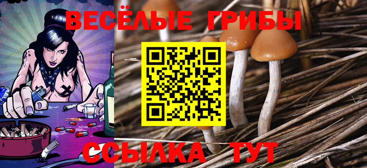 Галлюциногенные грибы Psilocybine cubensis  Галлюциногенные грибы Cubensis  Вход с VPN  Братск 