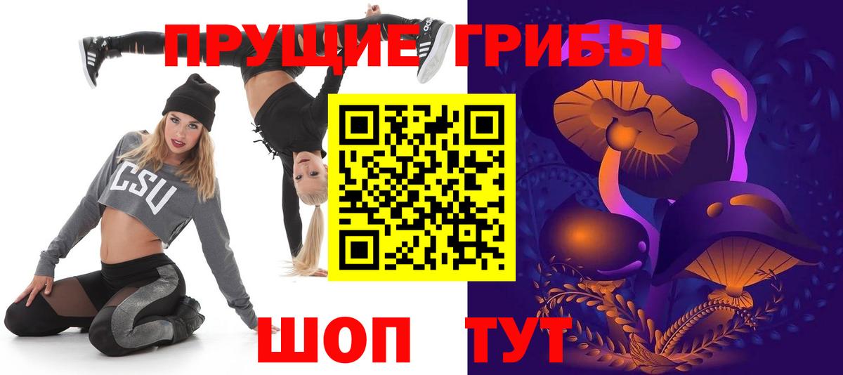 Галлюциногенные грибы Psilocybe Братск